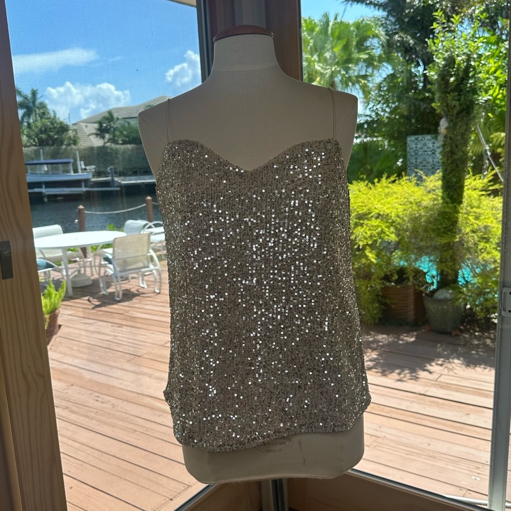 River Island Silver Sequin Bustier Tank Top